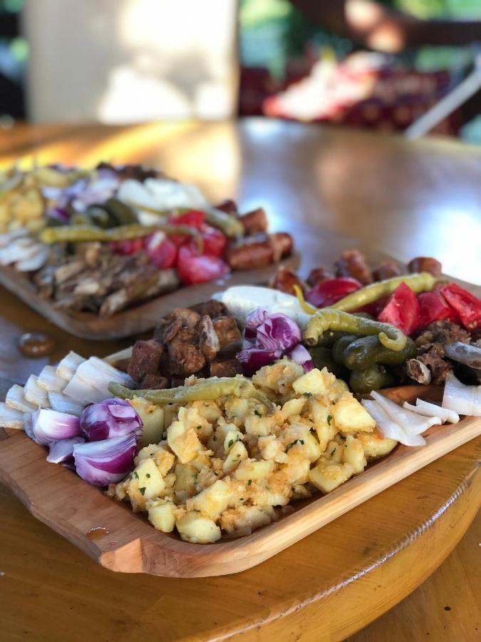 Vila Fan Confort Vişeu de Sus المظهر الخارجي الصورة