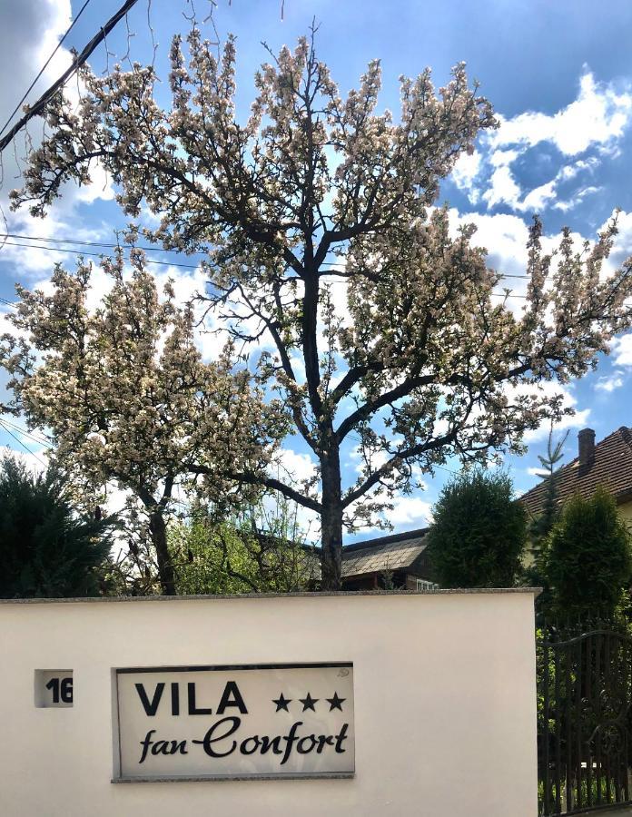 Vila Fan Confort Vişeu de Sus المظهر الخارجي الصورة