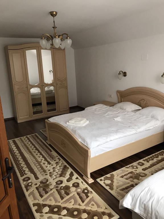 Vila Fan Confort Vişeu de Sus المظهر الخارجي الصورة
