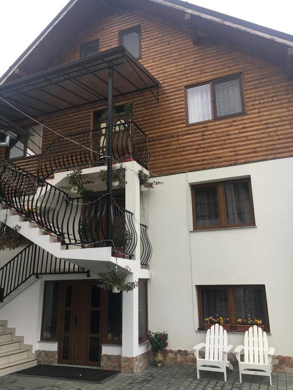 Vila Fan Confort Vişeu de Sus المظهر الخارجي الصورة