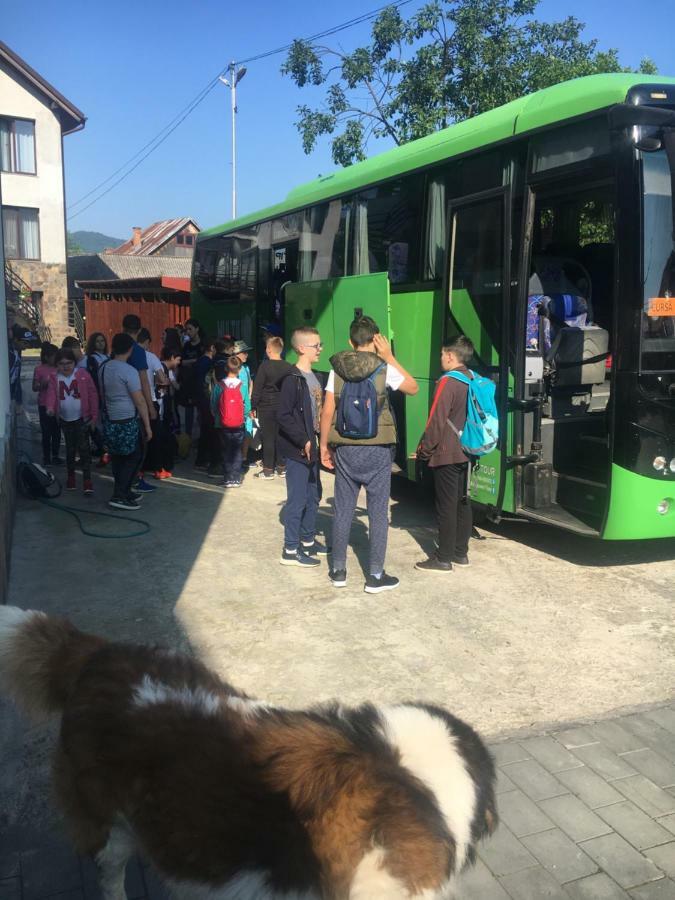 Vila Fan Confort Vişeu de Sus المظهر الخارجي الصورة