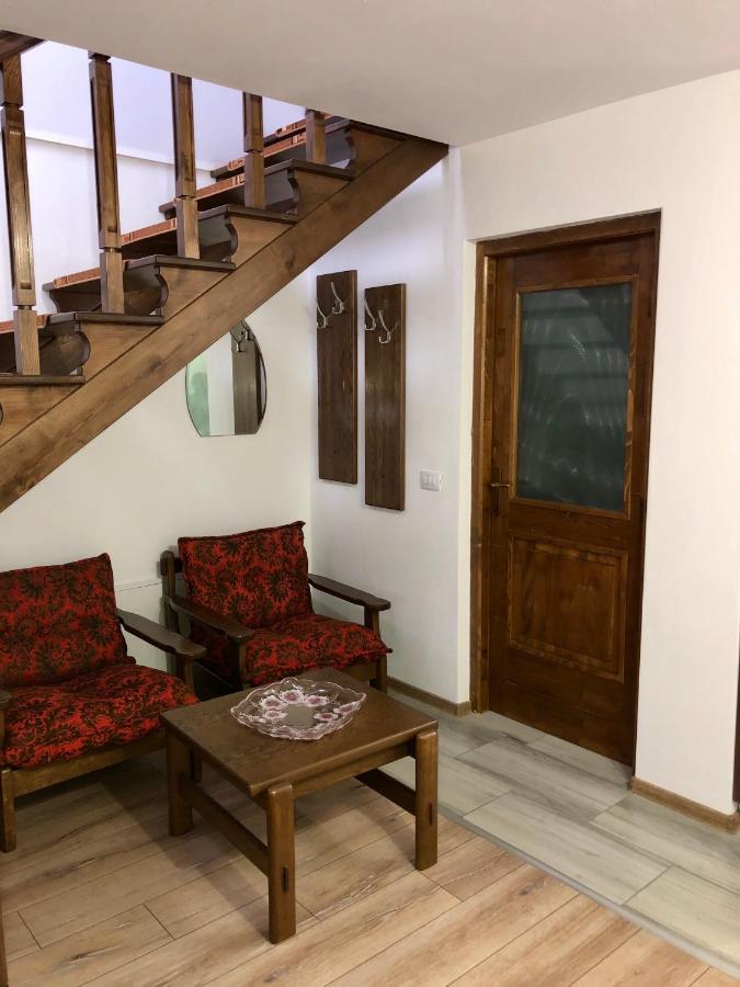 Vila Fan Confort Vişeu de Sus المظهر الخارجي الصورة