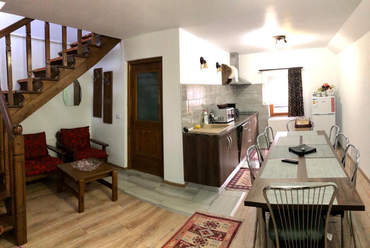 Vila Fan Confort Vişeu de Sus المظهر الخارجي الصورة